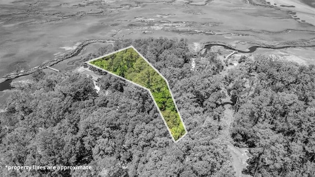 LOT208 Riverpoint Ln NE, Townsend, GA 31331