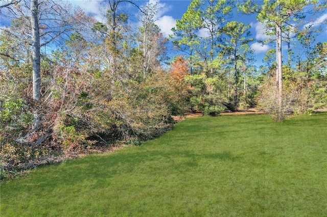 Listing photo 3 for 0 Coopers Point Dr NE, Townsend GA 31331