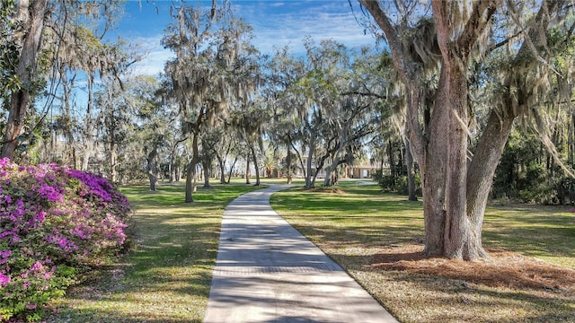 view of property's community