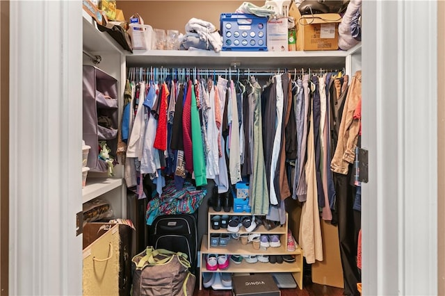 view of walk in closet