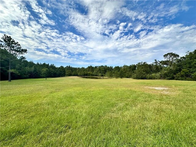 4525 Oakview Rd, Waycross, GA 31503 - photo 32