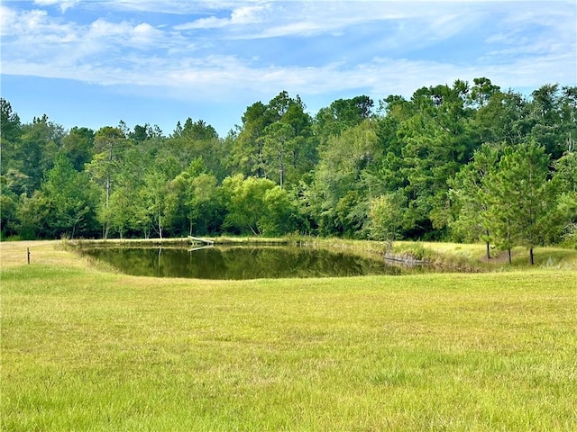 4525 Oakview Rd, Waycross, GA 31503 - photo 2