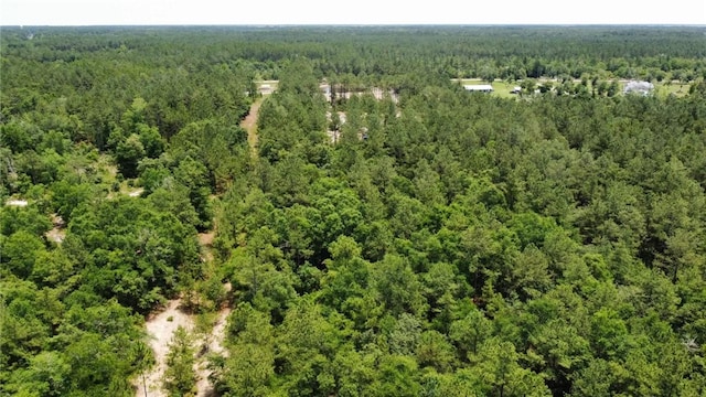 0 Crow Trl SE, Townsend, GA 31331