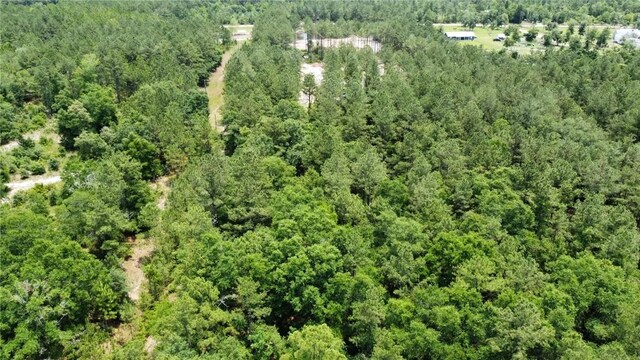 0 Crow Trl SE, Townsend, GA 31331