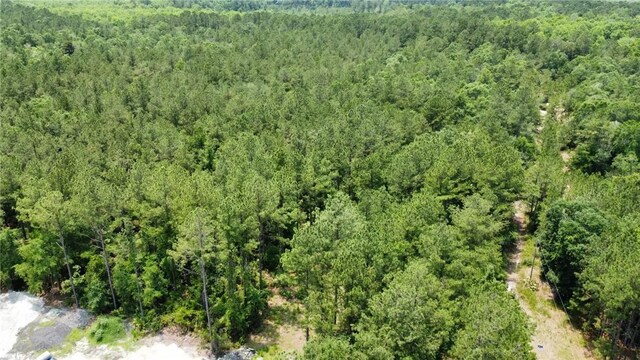 0 Crow Trl SE, Townsend, GA 31331