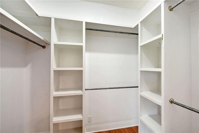 spacious closet with hardwood / wood-style flooring