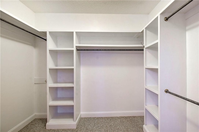 walk in closet with carpet floors