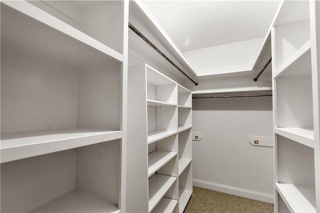 walk in closet featuring carpet