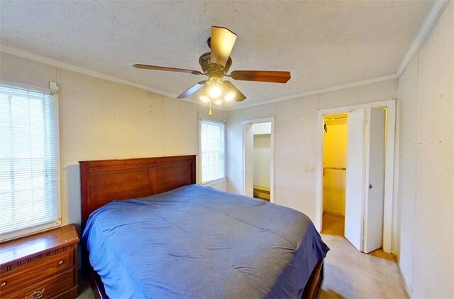 315 Magnolia St, Waycross, GA 31501 - bedroom featuring a ceiling fan, multiple windows, crown molding, and light carpet