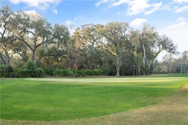 view of home's community with a lawn