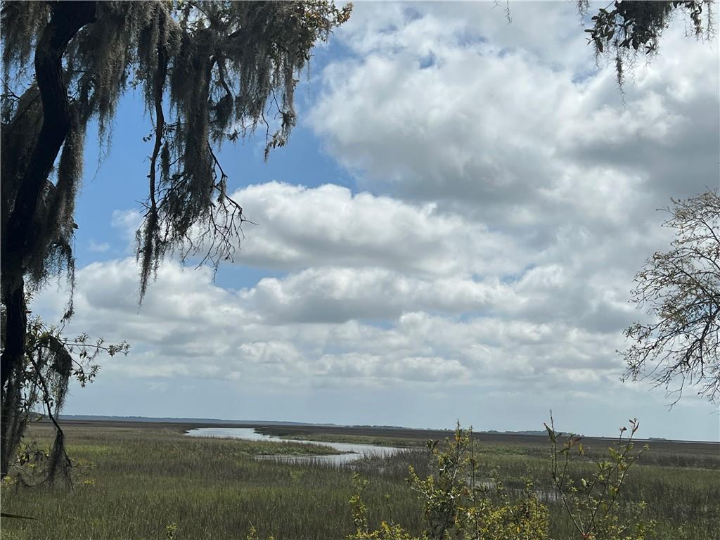 LOT26 Sugar Mill Ln SE, Darien, GA 31305 - photo 1