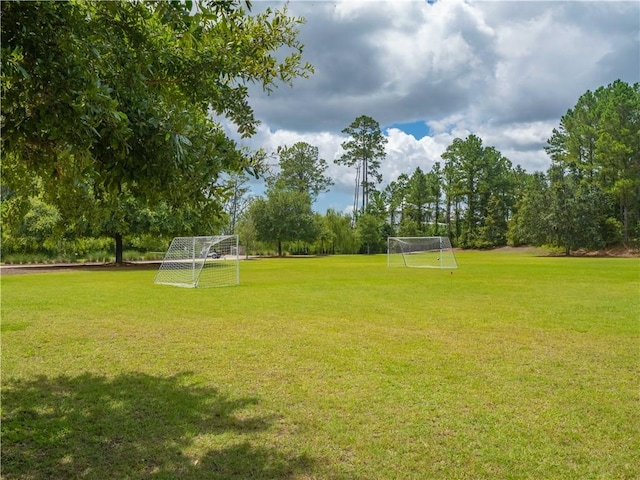 206 Placid Rd, Saint Marys, GA 31558 - view of yard with an area for sports and view of wooded area