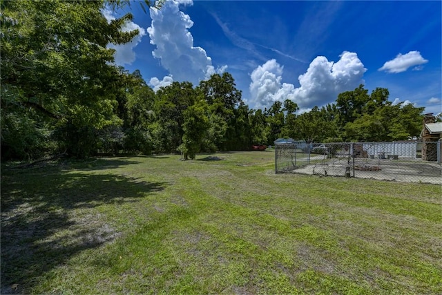 706 Jenkins St, Blackshear, GA 31516 - view of yard