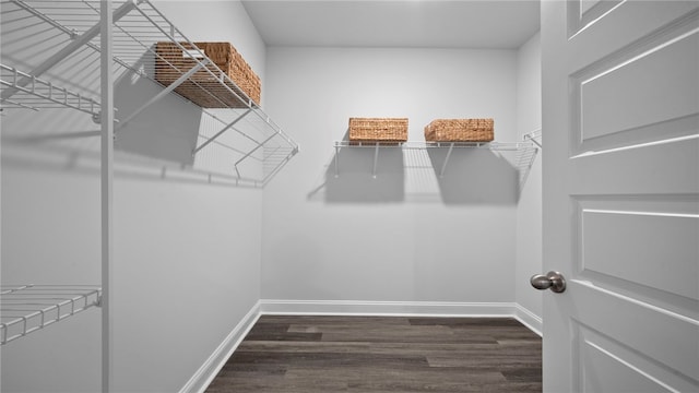 1037 Lakes Blvd, Brunswick, GA 31525 - walk in closet with dark wood-style flooring