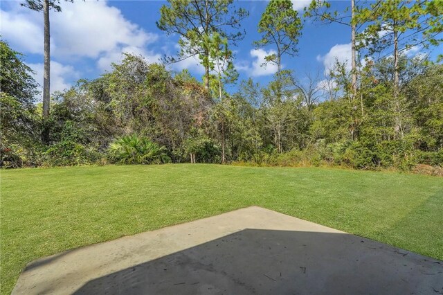 view of yard with a patio