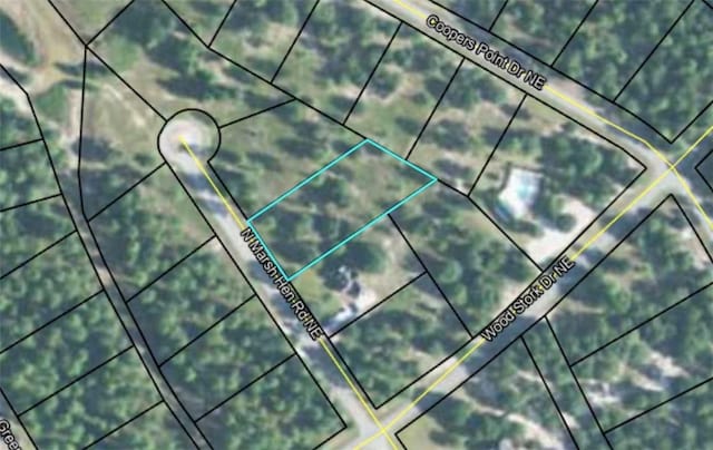 Listing photo 3 for LOT1A-19 Coopers Pt, Townsend GA 31331