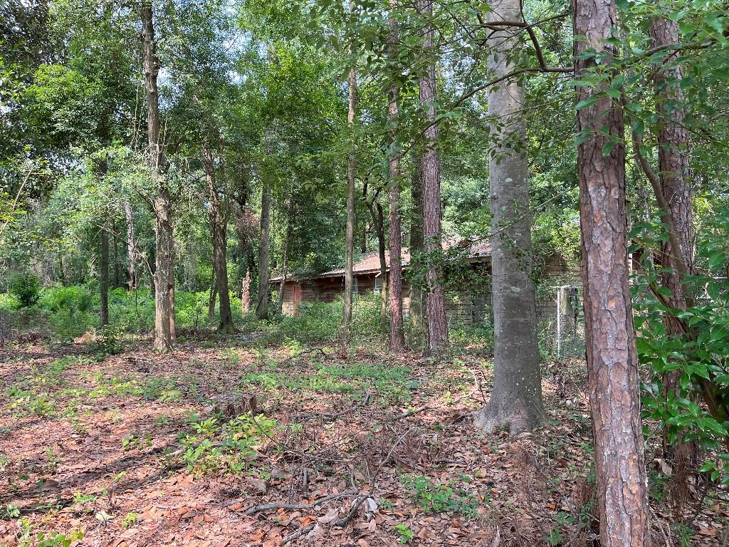 774 E Plum St, Jesup, GA 31546 - view of tree filled area