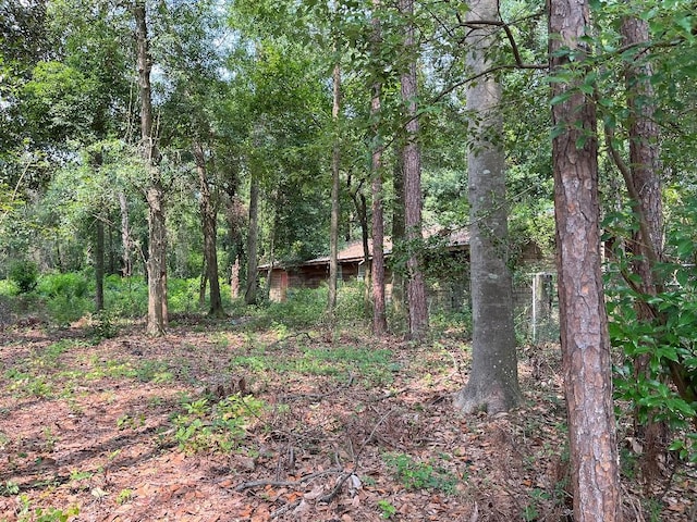 774 E Plum St, Jesup, GA 31546 - view of tree filled area