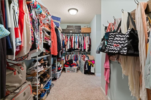 spacious closet featuring carpet floors