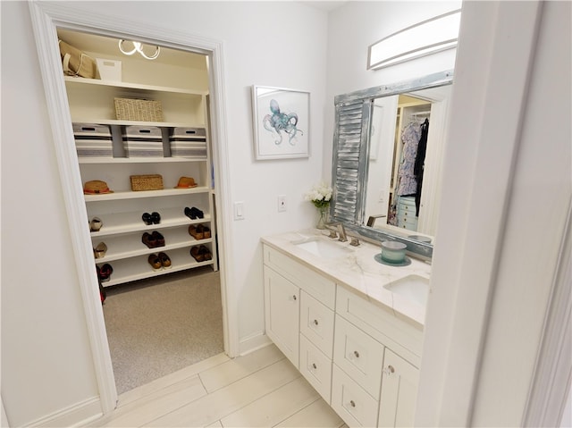 bathroom featuring a sink, a walk in closet, and double vanity