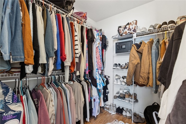 spacious closet featuring wood finished floors