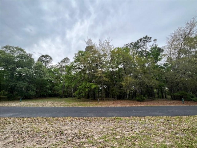 Listing photo 3 for LOT605 Coopers Landing Dr NE, Townsend GA 31331