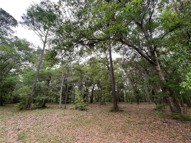 Listing photo 2 for LOT605 Coopers Landing Dr NE, Townsend GA 31331