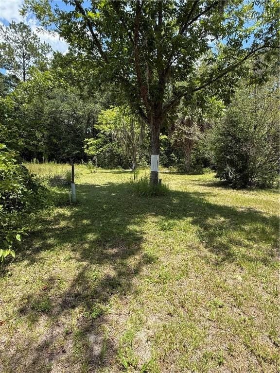 125 Turkey Rdg, Nahunta, GA 31553 - view of green lawn with a forest view