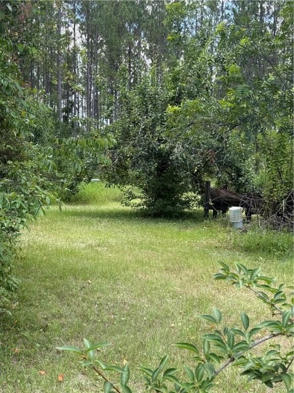 125 Turkey Rdg, Nahunta, GA 31553 - view of yard