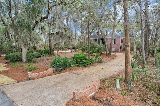 view of yard with dirt driveway