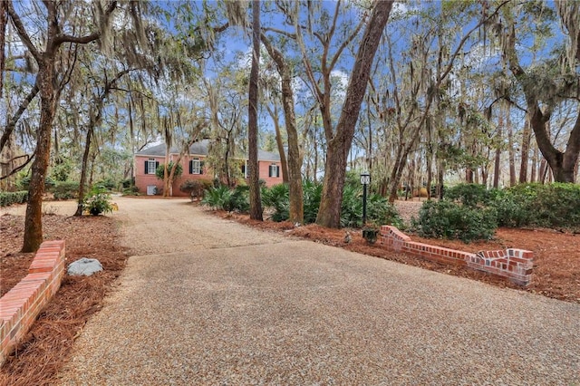 view of front of house featuring driveway