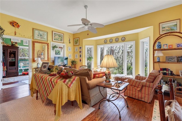 living room with ornamental molding, a ceiling fan, and hardwood / wood-style flooring