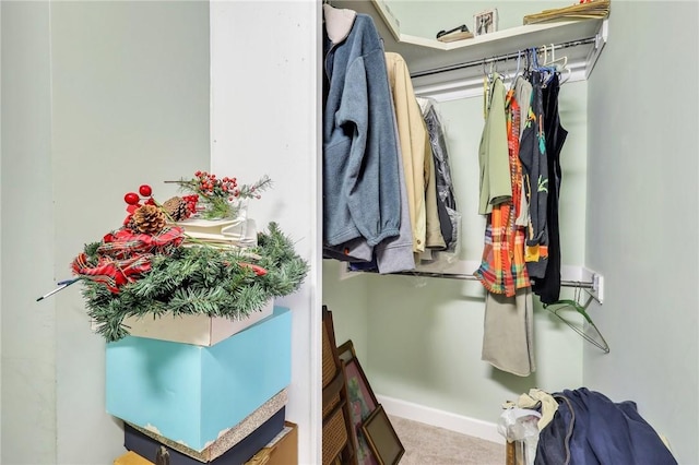 spacious closet featuring carpet floors