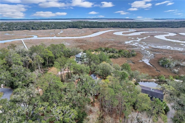 birds eye view of property with a forest view