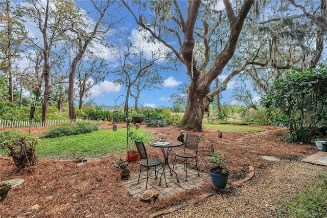 view of yard featuring a patio and fence