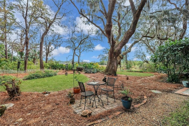 view of yard featuring a patio and fence