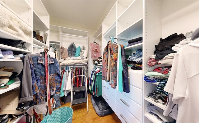 walk in closet featuring light hardwood / wood-style floors