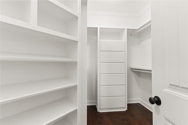 walk in closet featuring dark wood-style flooring