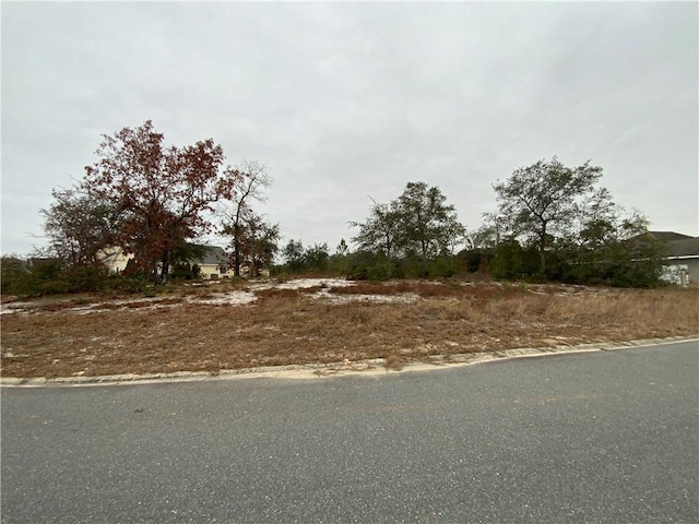 107 Plantation Pines Dr, Blackshear, GA 31503 - photo 2