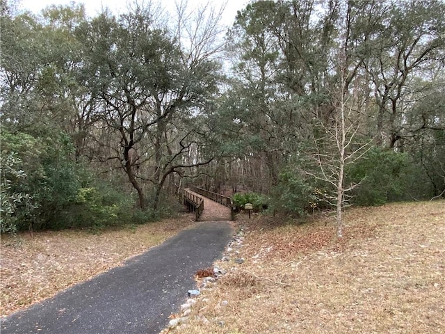 107 Plantation Pines Dr, Blackshear, GA 31503 - photo 10