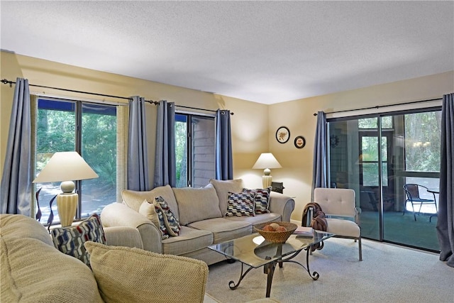 874 Wimbledon Dr, Saint Simons Island, GA 31522 - carpeted living area with a textured ceiling