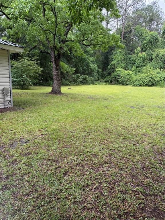109 Jackson St, Nahunta, GA 31553 - photo 10