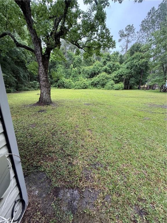 109 Jackson St, Nahunta, GA 31553 - photo 11