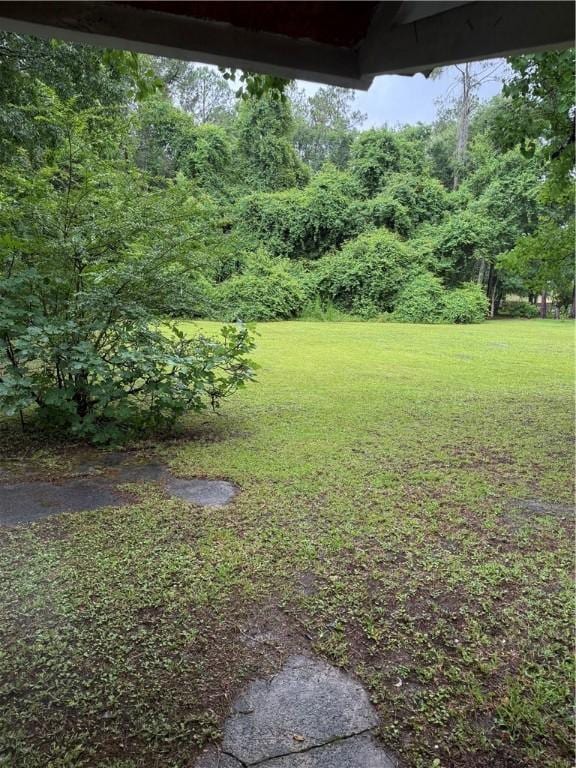 109 Jackson St, Nahunta, GA 31553 - photo 9