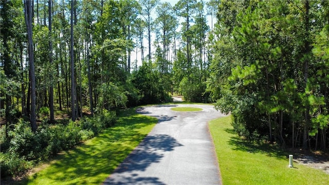 LOT171 Winterberry Dr NE, Townsend, GA 31331 - photo 33