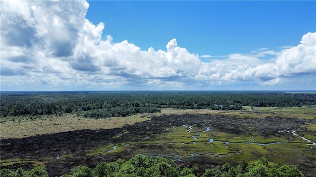 LOT171 Winterberry Dr NE, Townsend, GA 31331 - photo 27