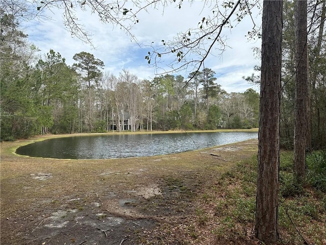 Listing photo 2 for LOT171 Winterberry Dr NE, Townsend GA 31331