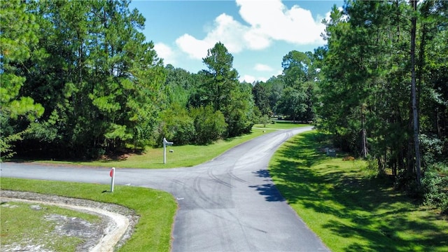 LOT171 Winterberry Dr NE, Townsend, GA 31331 - photo 32
