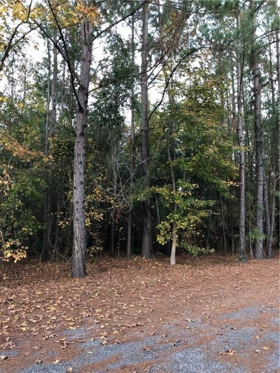 45 Whitetail Trl, Brunswick GA, 31525 land for sale