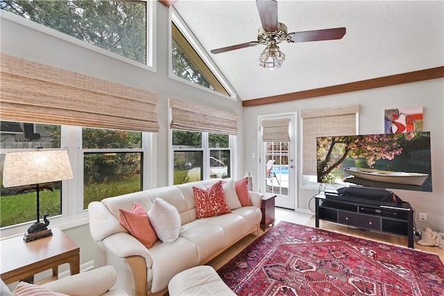 502 Rivera Dr, Saint Simons Island, GA 31522 - sunroom / solarium featuring lofted ceiling